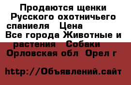 Продаются щенки Русского охотничьего спаниеля › Цена ­ 25 000 - Все города Животные и растения » Собаки   . Орловская обл.,Орел г.